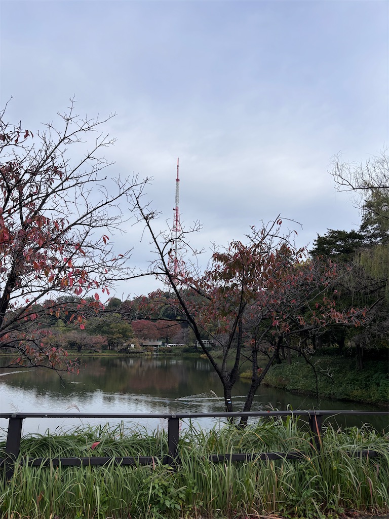 f:id:hatakofuru:20251111080636j:image