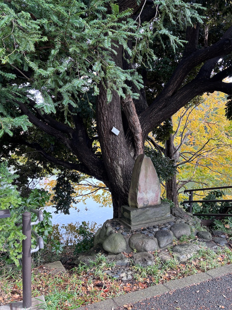 f:id:hatakofuru:20251111080639j:image