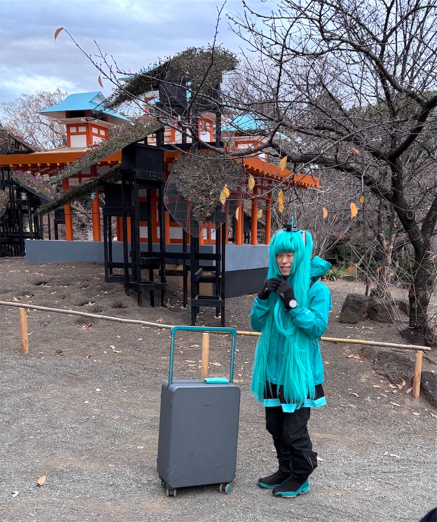 f:id:hatakofuru:20251219075919j:image