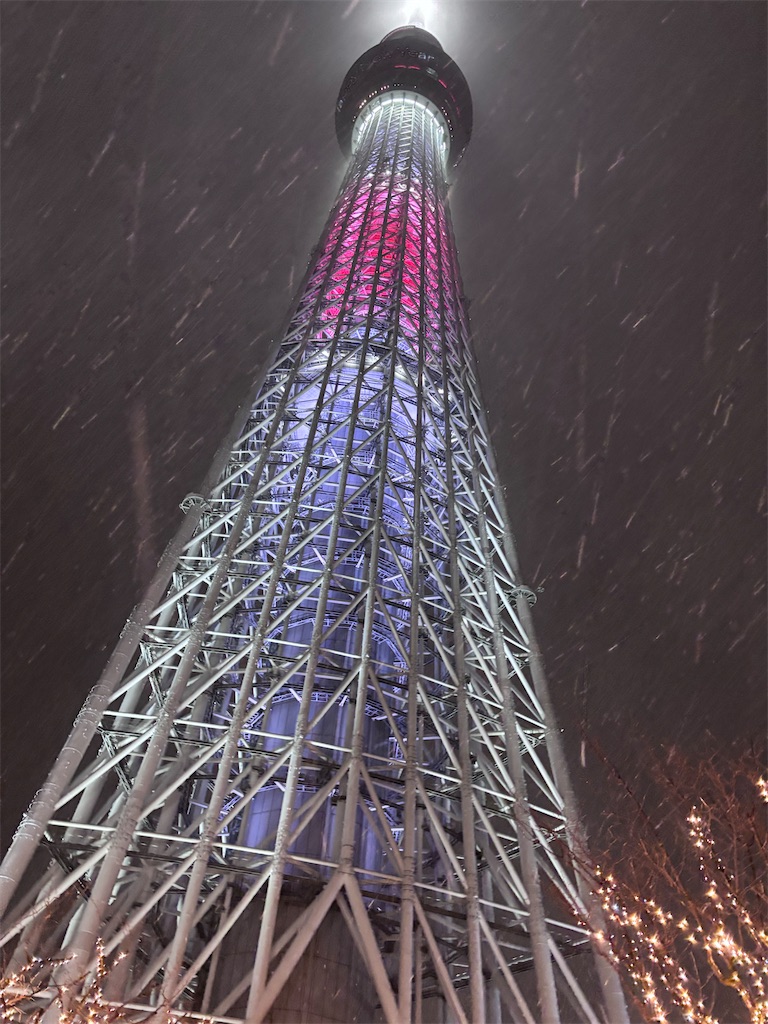 f:id:hatakofuru:20260105071342j:image
