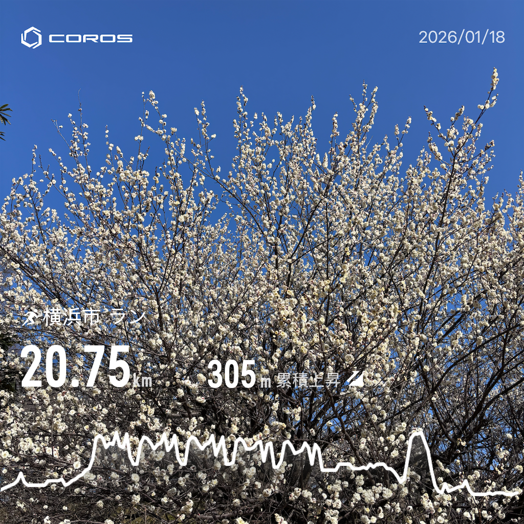 f:id:hatakofuru:20260119073249p:image f:id:hatakofuru:20260119073249p:image