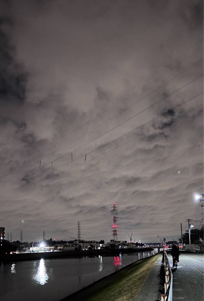 f:id:hatakofuru:20260124171358j:image f:id:hatakofuru:20260124171358j:image