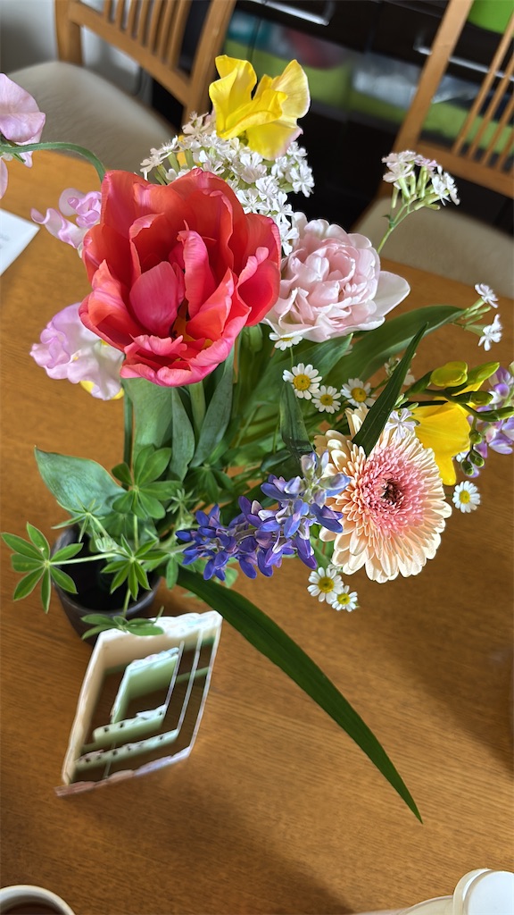 f:id:hatakofuru:20260216075806j:image f:id:hatakofuru:20260216075806j:image