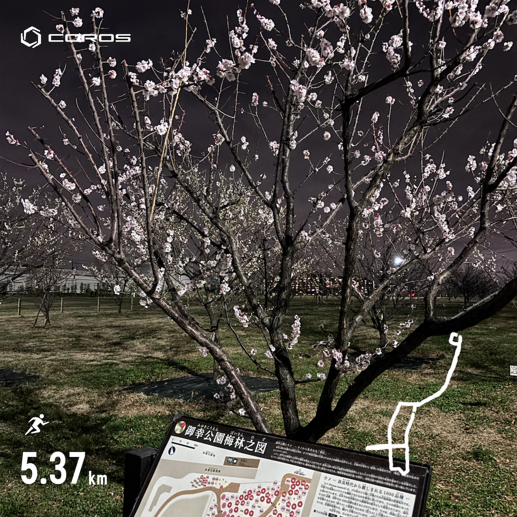 f:id:hatakofuru:20260302073833p:image f:id:hatakofuru:20260302073833p:image