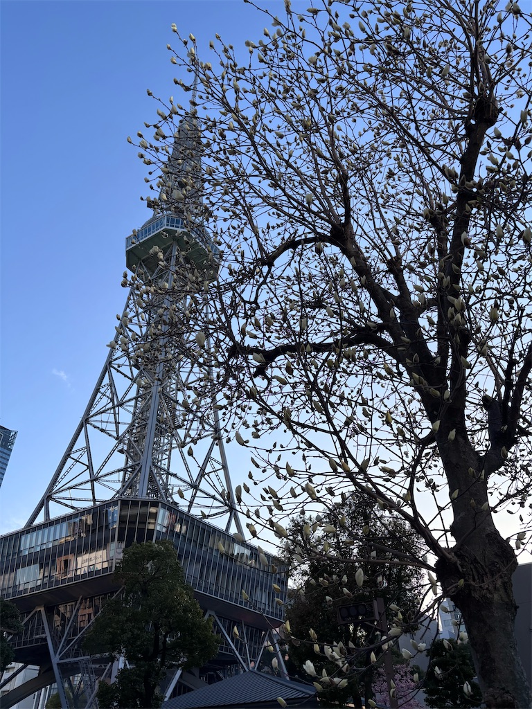 f:id:hatakofuru:20260313062831j:image