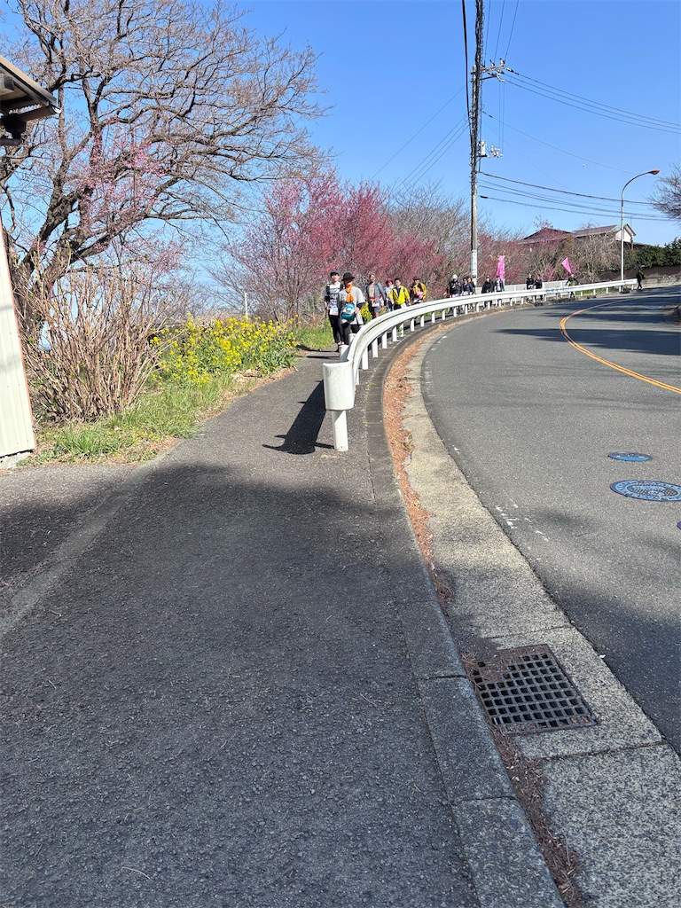 f:id:hatakofuru:20260318074735j:image f:id:hatakofuru:20260318074735j:image