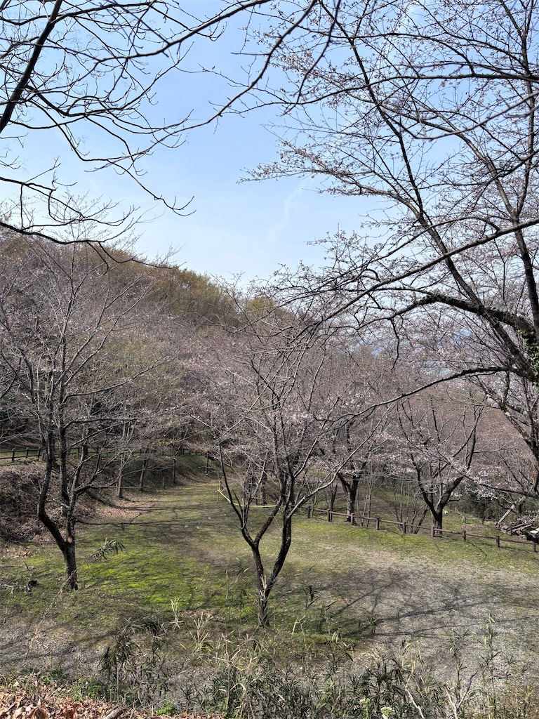 f:id:hatakofuru:20260327124435j:image