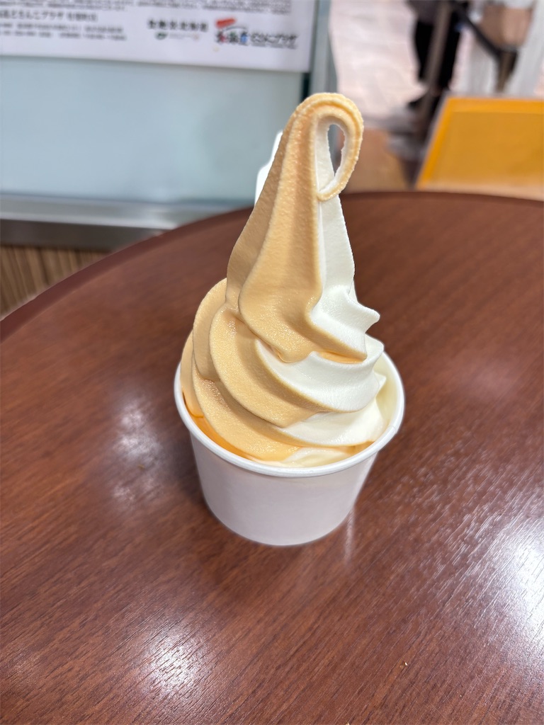 f:id:hatakofuru:20260508070626j:image
