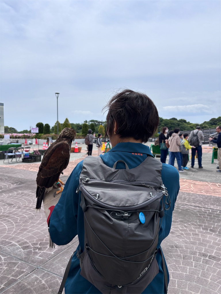 f:id:hatakofuru:20260508071555j:image
