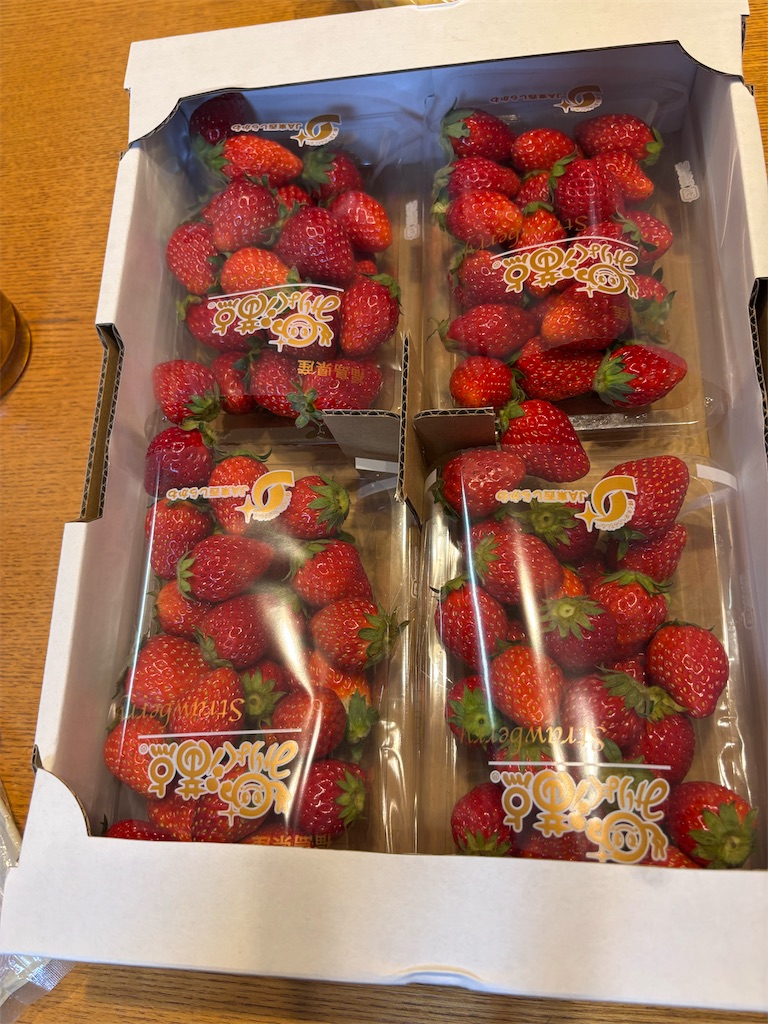 f:id:hatakofuru:20260509084813j:image
