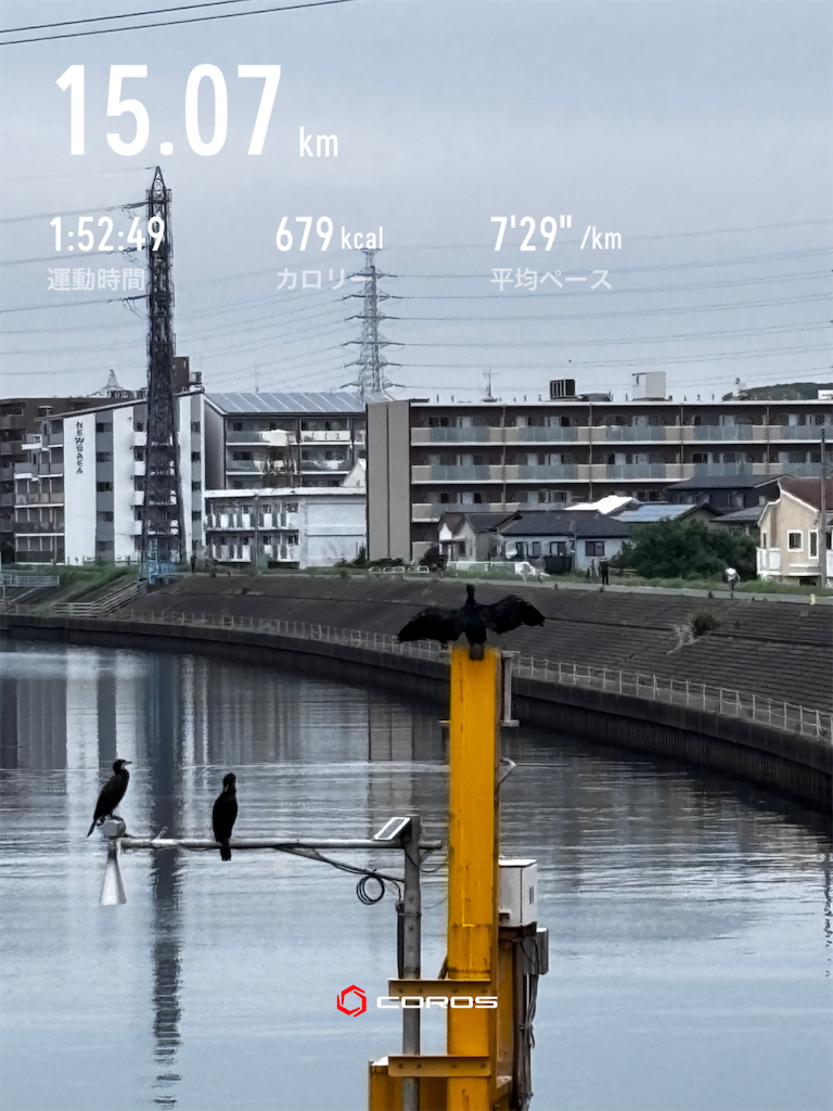 f:id:hatakofuru:20260609072844p:image