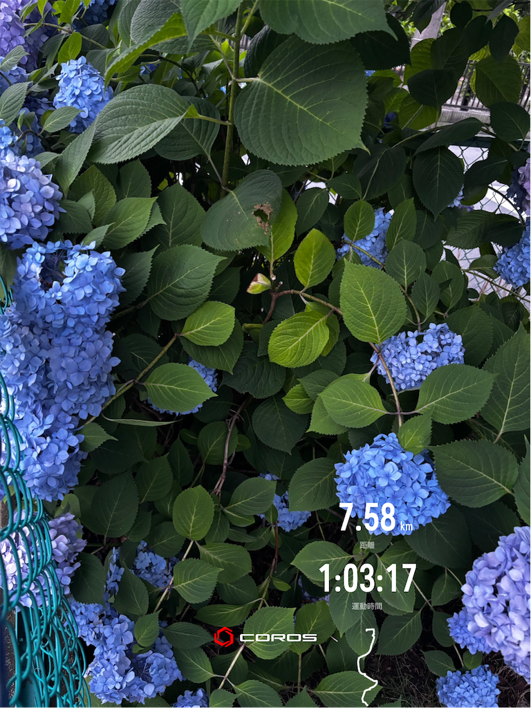 f:id:hatakofuru:20260610071127p:image
