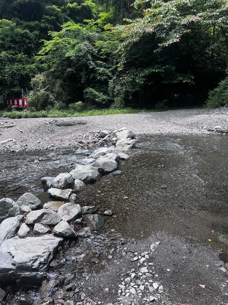 f:id:hatakofuru:20260616074653j:image f:id:hatakofuru:20260616074653j:image