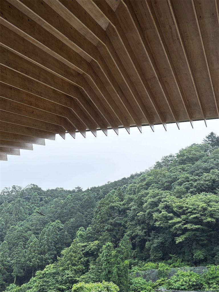 f:id:hatakofuru:20260629074920j:image