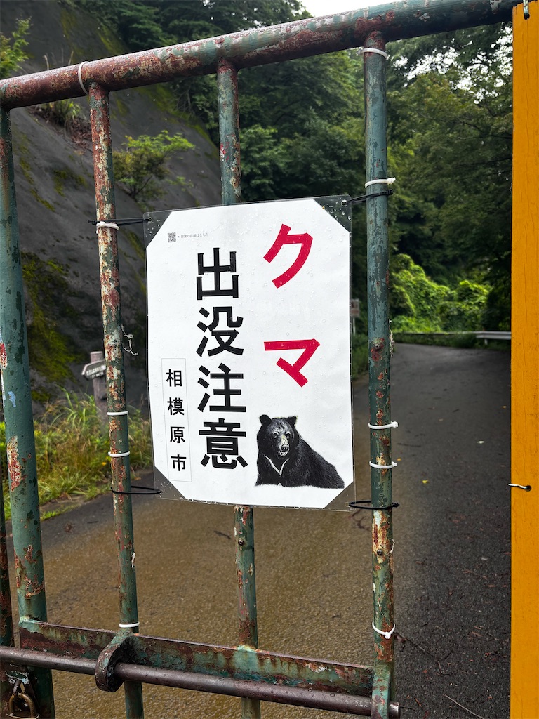 f:id:hatakofuru:20260629203330j:image