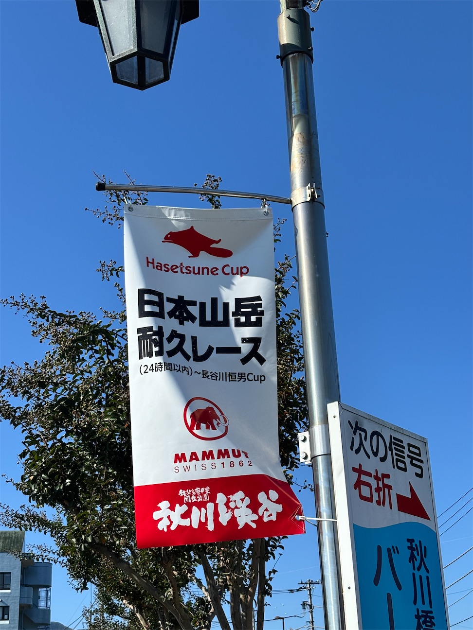 f:id:hatakofuru:20261014173813j:image f:id:hatakofuru:20261014173813j:image