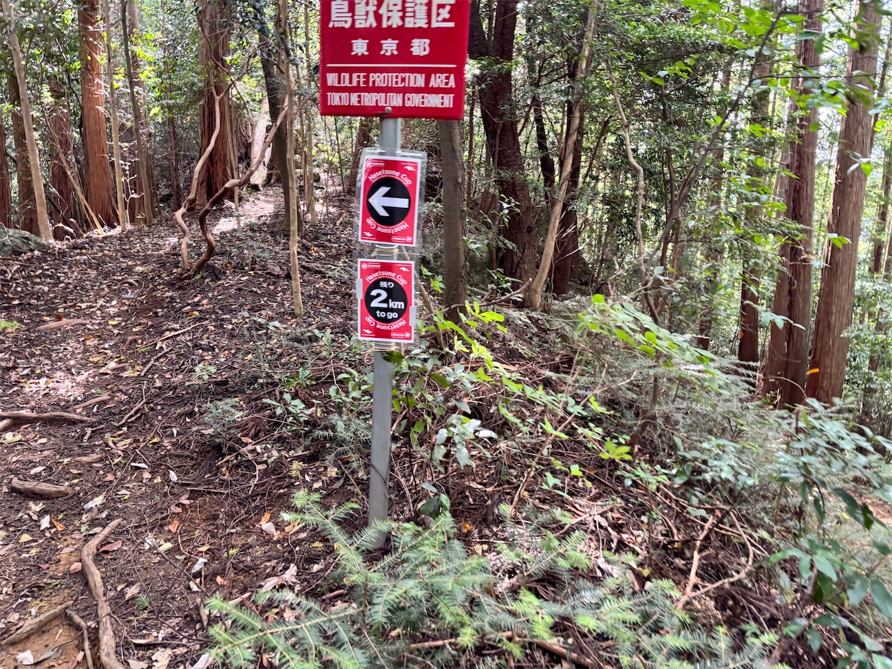 f:id:hatakofuru:20261017092550j:image f:id:hatakofuru:20261017092550j:image