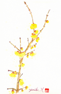f:id:hatanakamami:20090201161840j:image f:id:hatanakamami:20090201161840j:image