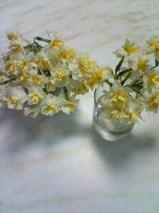 f:id:hatanakamami:20100108144911j:image