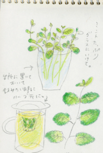 f:id:hatanakamami:20100429202847j:image