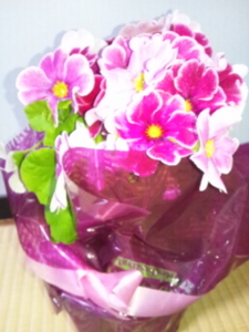 f:id:hatanakamami:20120122181827j:image