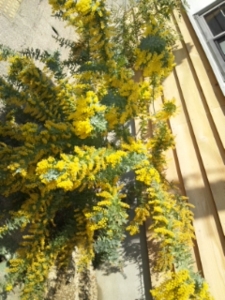 f:id:hatanakamami:20120401123828j:image