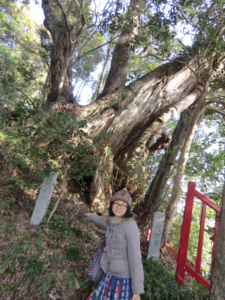 f:id:hatanakamami:20130102120943j:image f:id:hatanakamami:20130102120943j:image