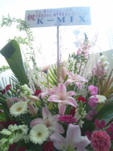 f:id:hatanakamami:20130309172345j:image f:id:hatanakamami:20130309172345j:image