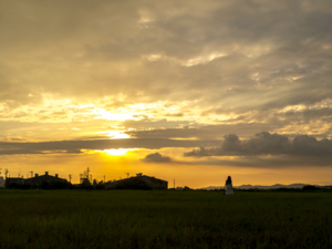 f:id:hatanakamami:20130905173852j:image