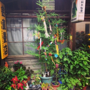 f:id:hatanakamami:20140713222510j:image