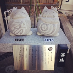 f:id:hatanakamami:20150222221531j:image f:id:hatanakamami:20150222221531j:image