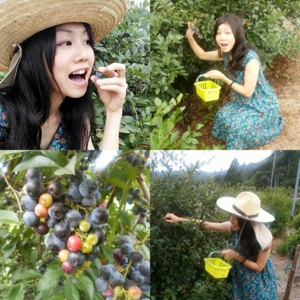 f:id:hatanakamami:20160821145133j:image