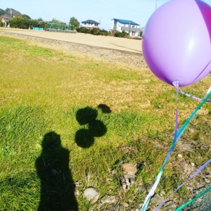 f:id:hatanakamami:20170107164754j:image