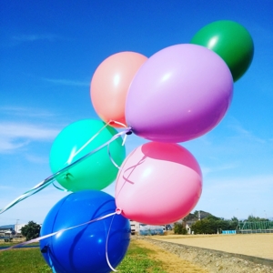 f:id:hatanakamami:20170107164857j:image