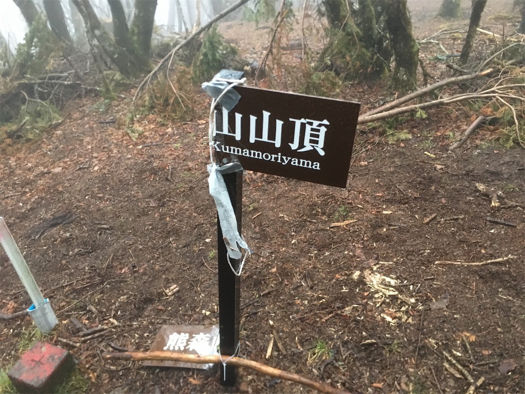 f:id:hatanaoh:20190502111540j:image