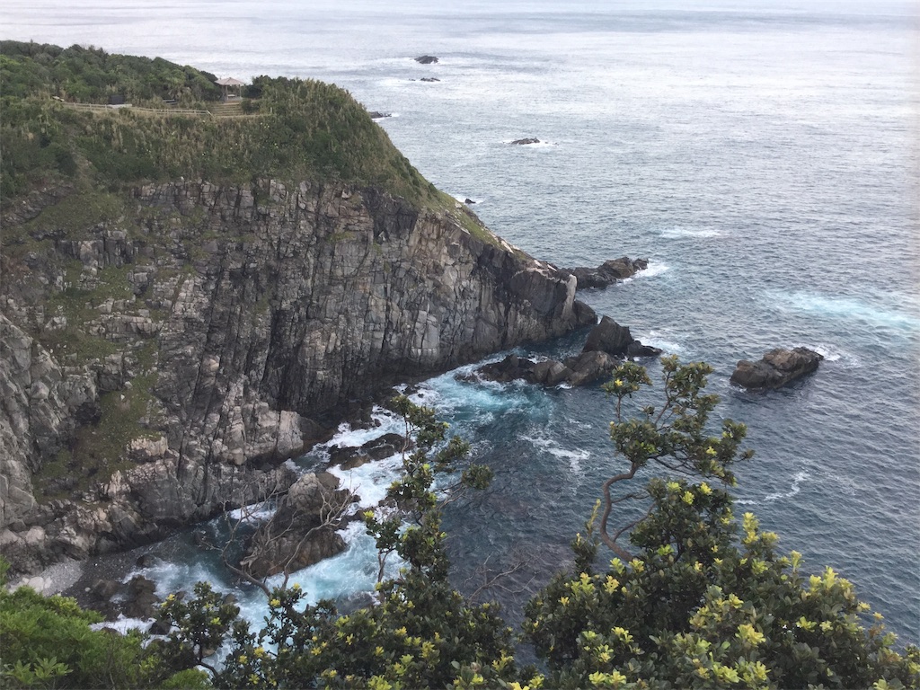 f:id:hatanikiteminkae:20190616013650j:image