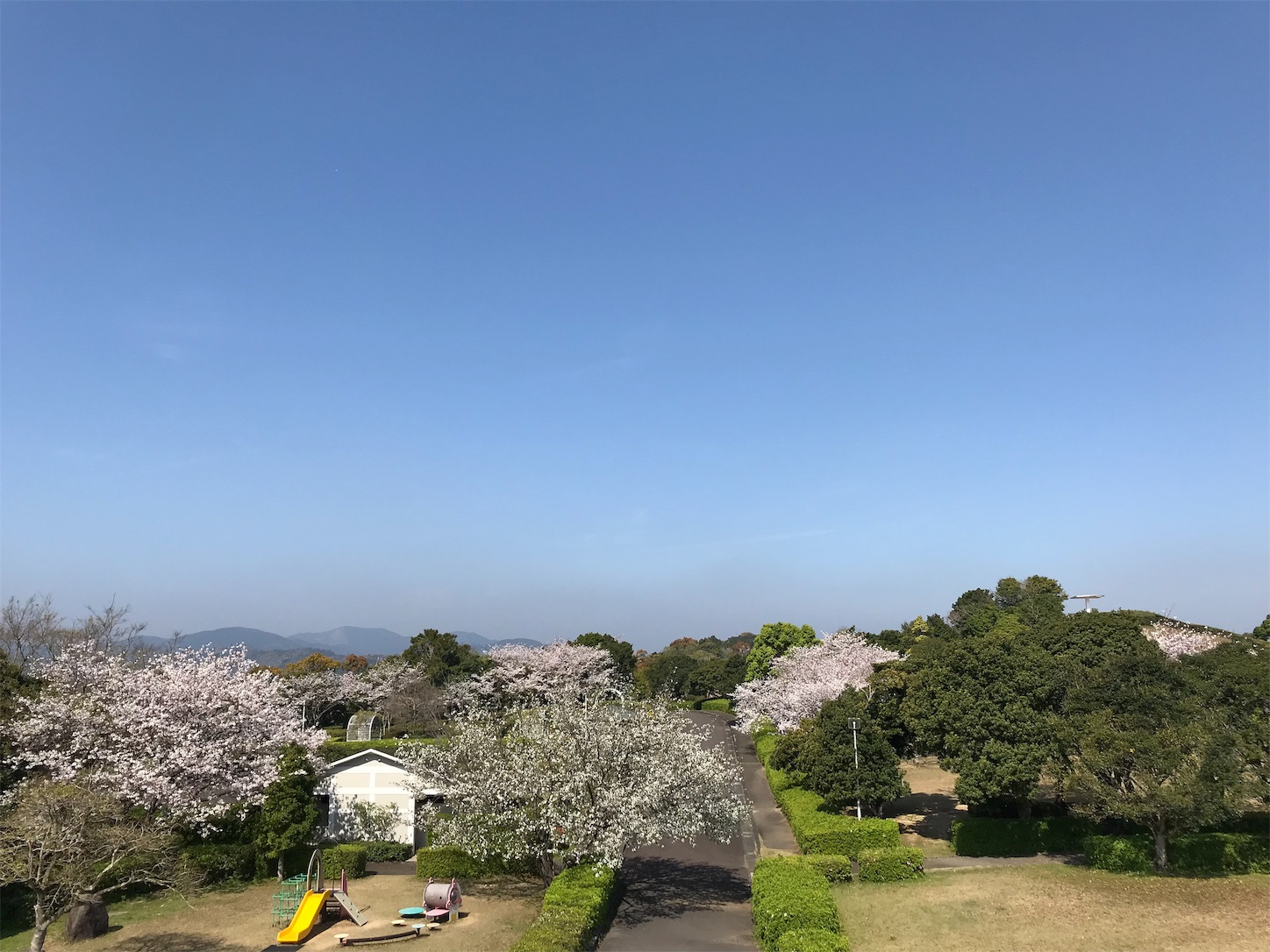 f:id:hatanikiteminkae:20190618070640j:image f:id:hatanikiteminkae:20190618070640j:image