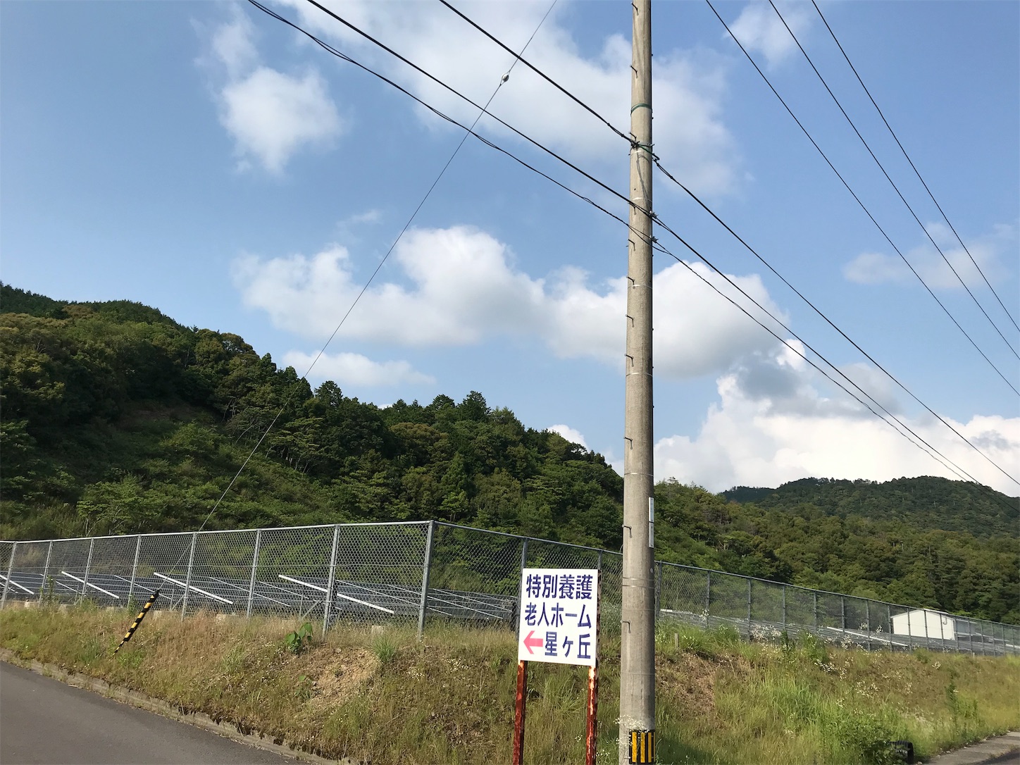 f:id:hatanikiteminkae:20190621181702j:image