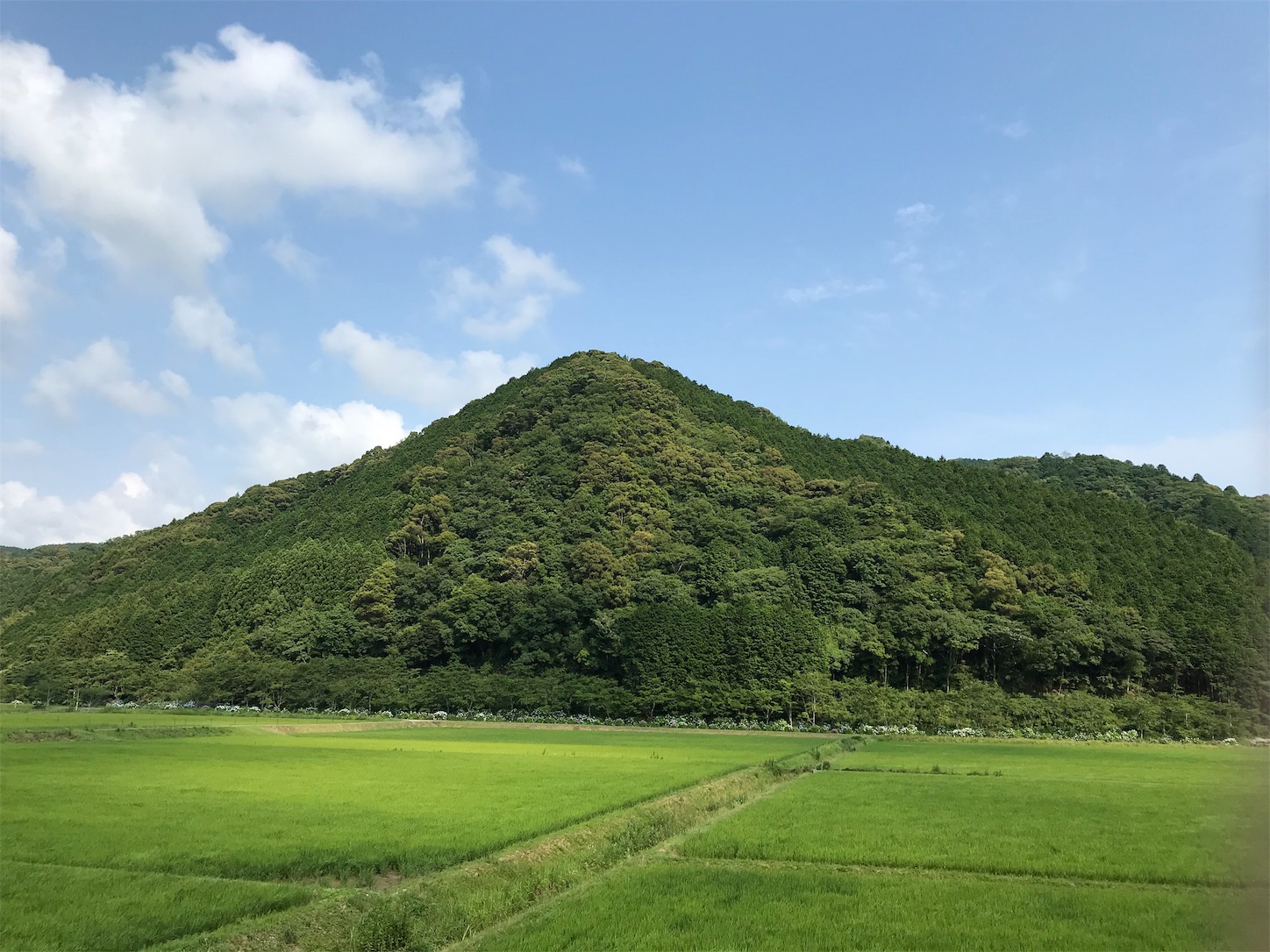 f:id:hatanikiteminkae:20190621182953j:image