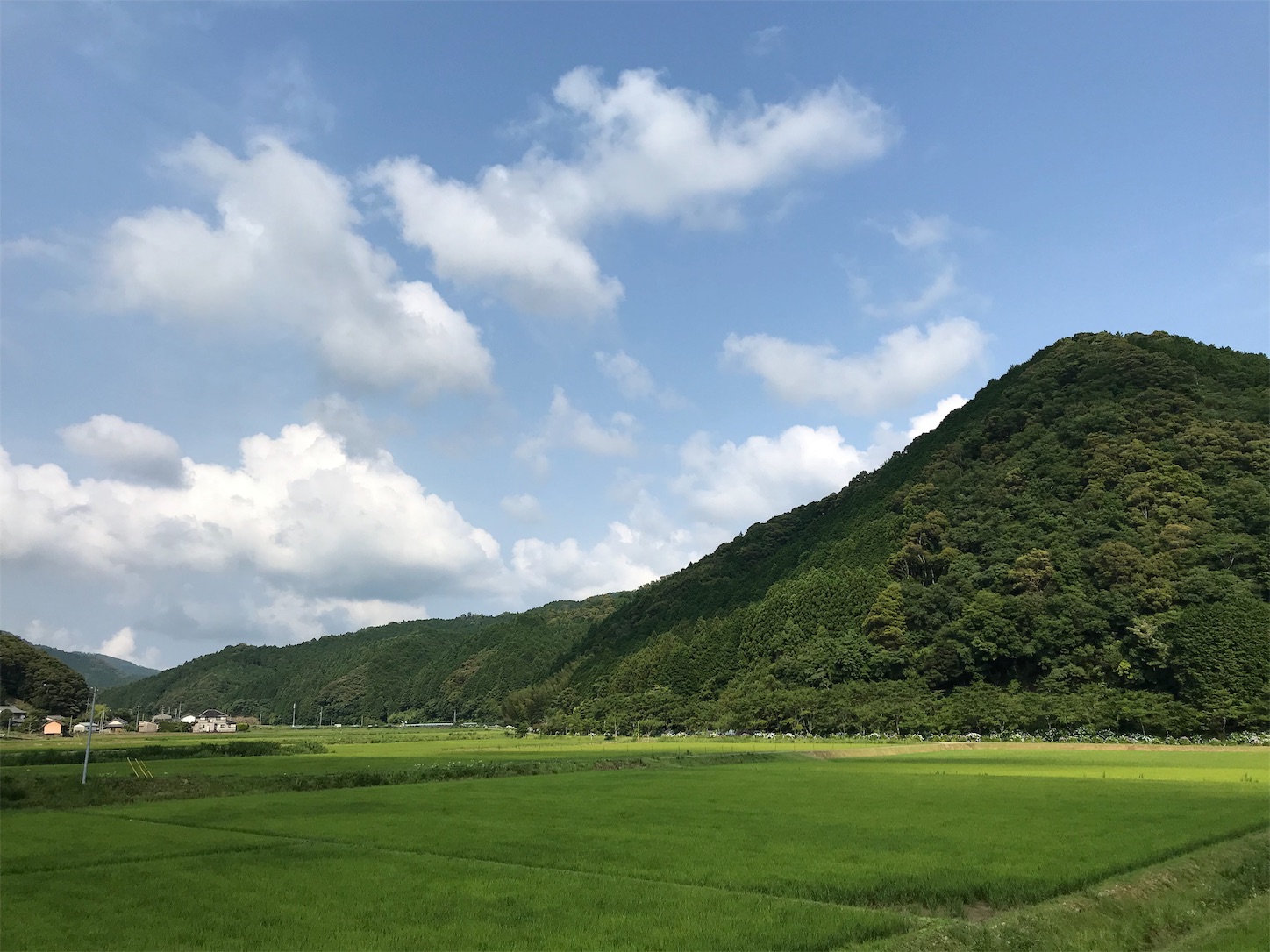 f:id:hatanikiteminkae:20190621182957j:image