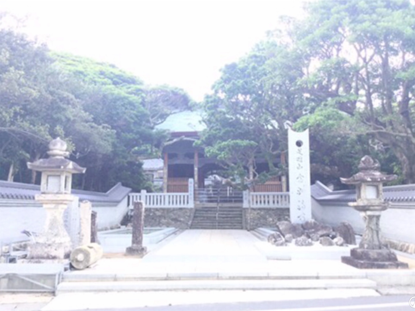 f:id:hatanikiteminkae:20190629225207j:image