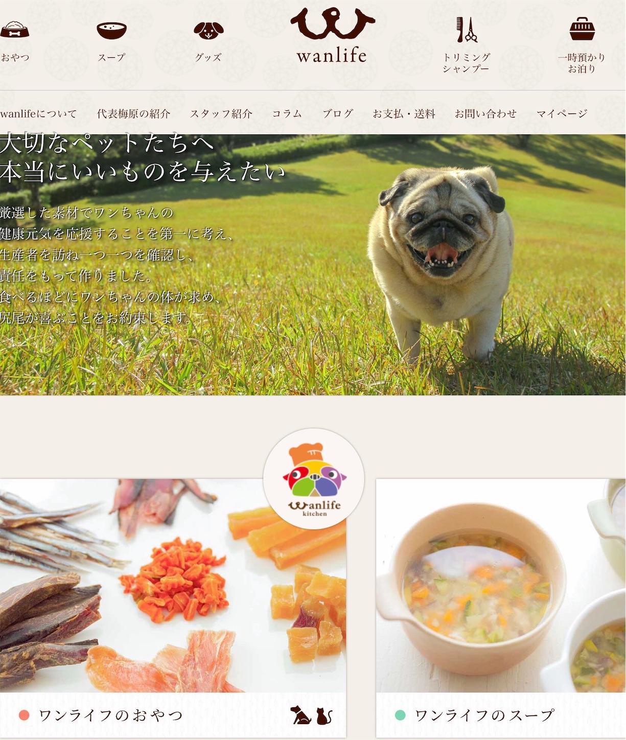 f:id:hatanikiteminkae:20190630182457j:image