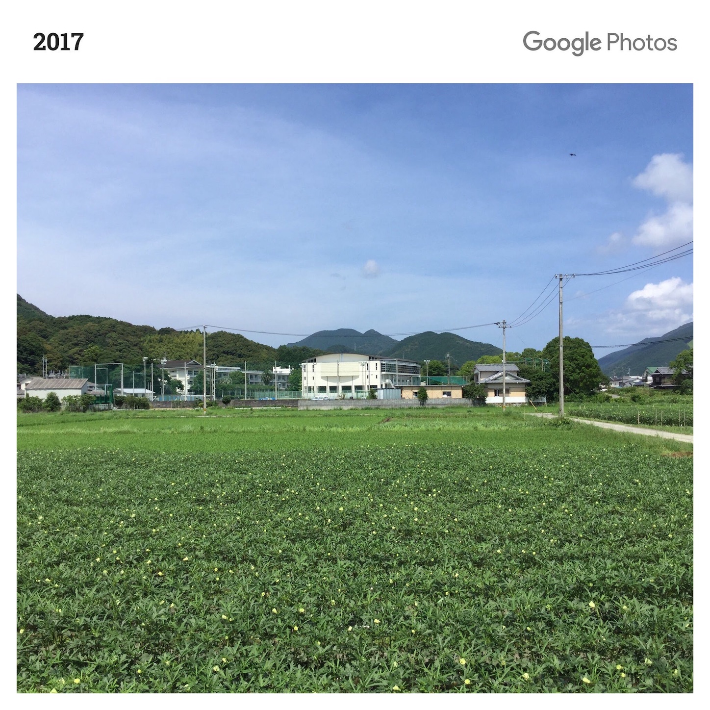 f:id:hatanikiteminkae:20190703154108j:image