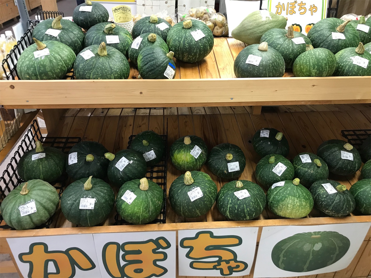f:id:hatanikiteminkae:20190710170032j:image