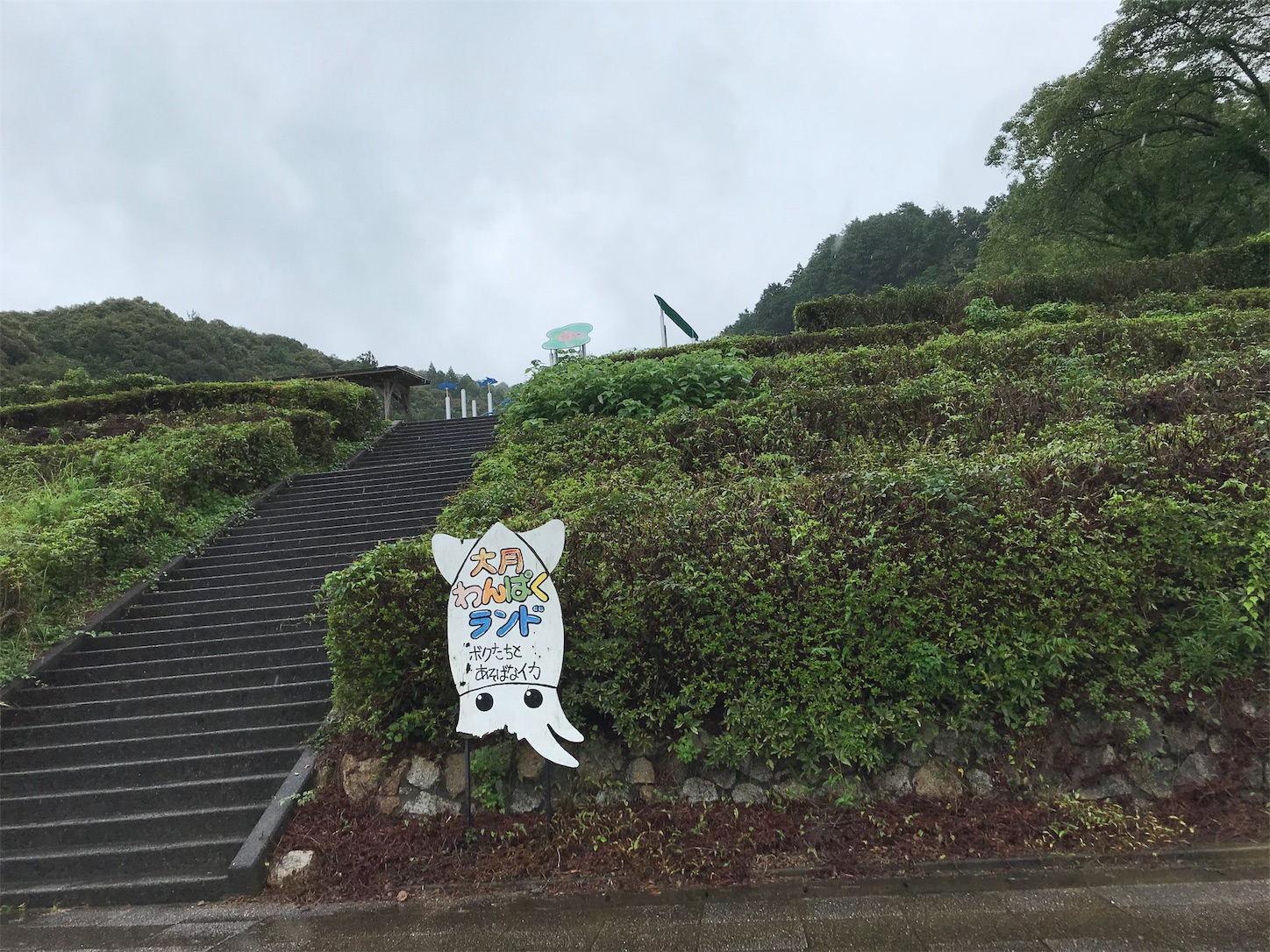 f:id:hatanikiteminkae:20190710172634j:image