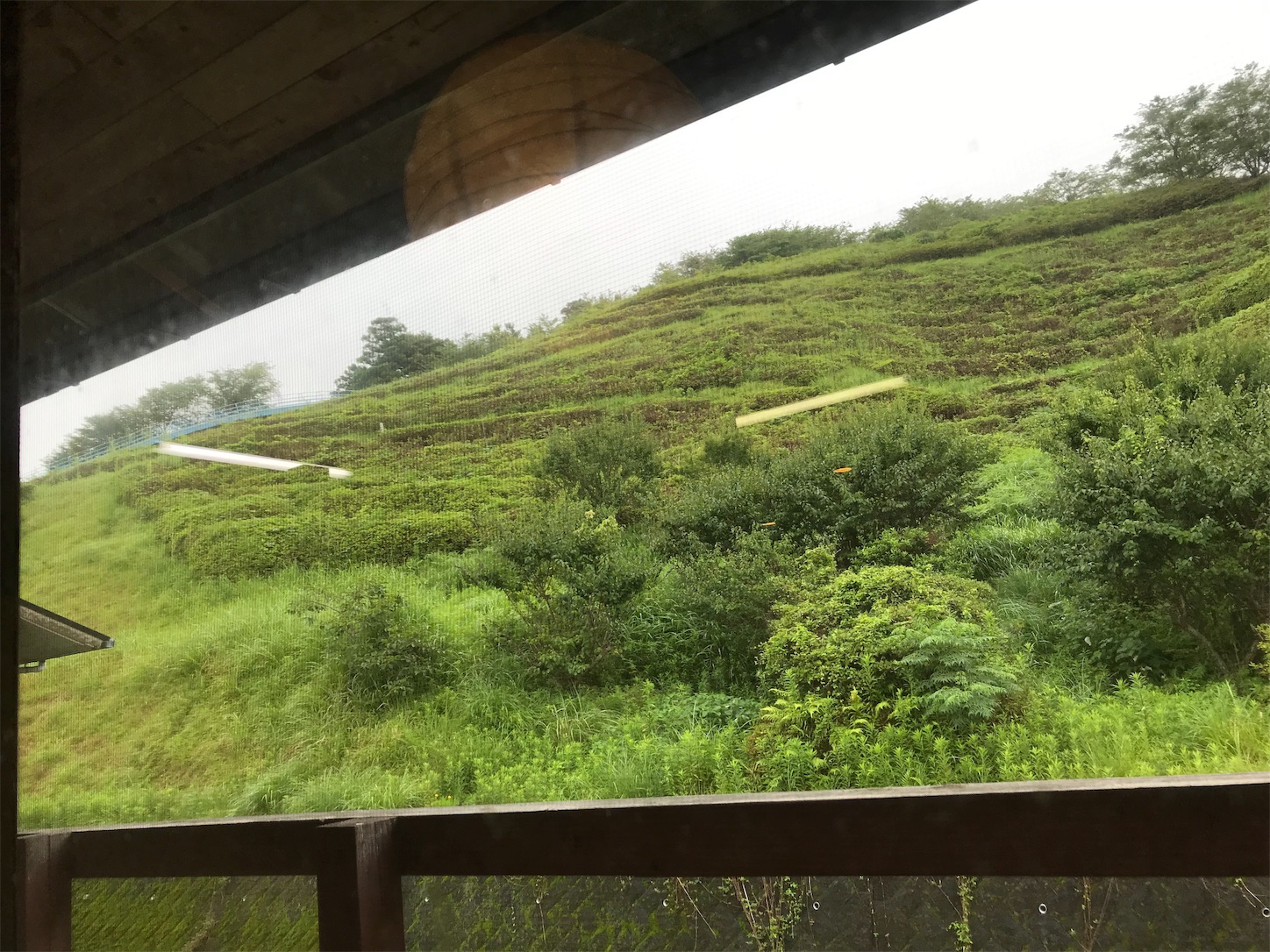 f:id:hatanikiteminkae:20190710172646j:image