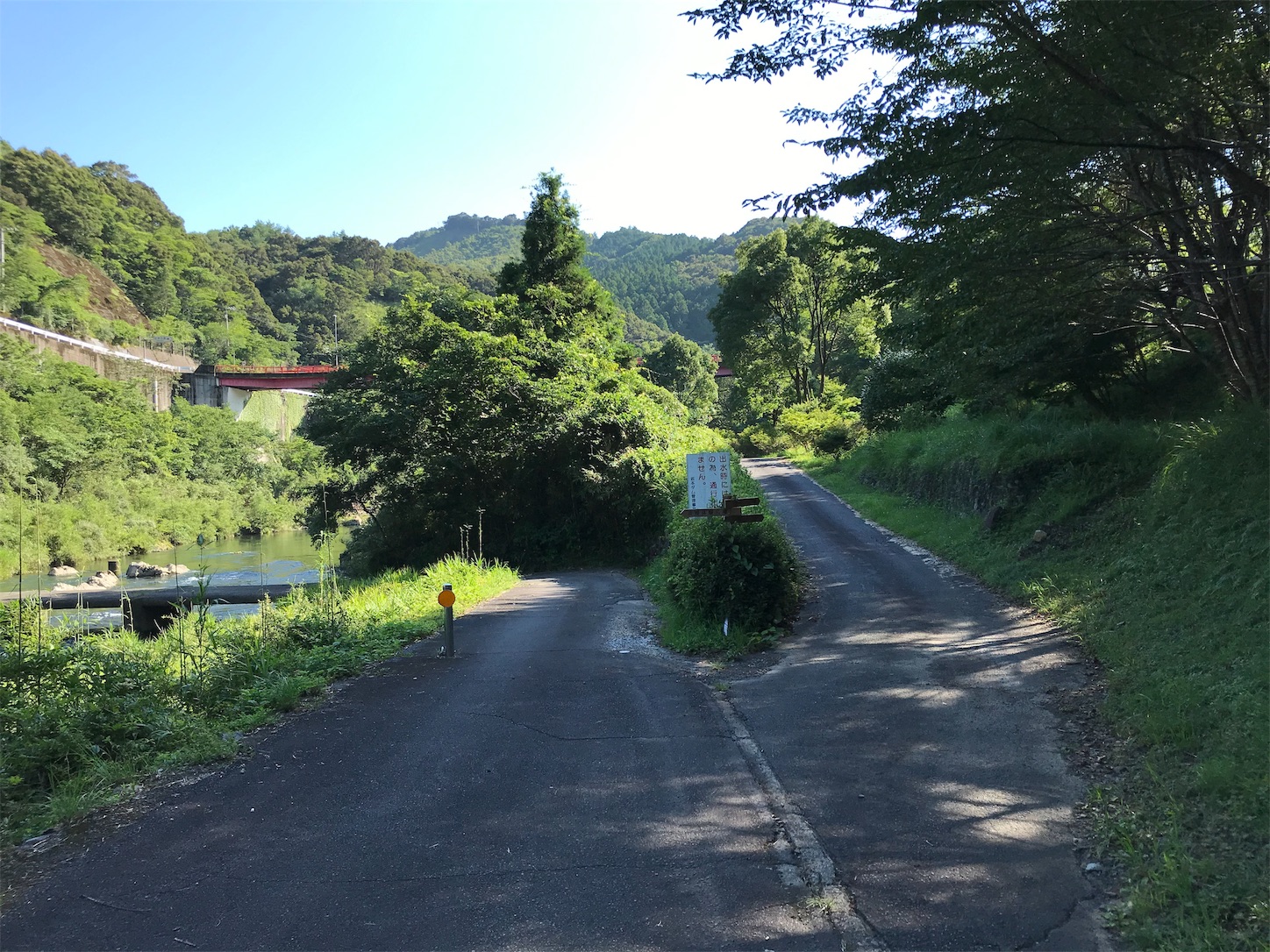 f:id:hatanikiteminkae:20190712172526j:image