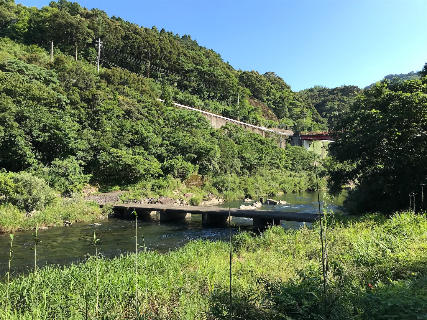 f:id:hatanikiteminkae:20190712172658j:image