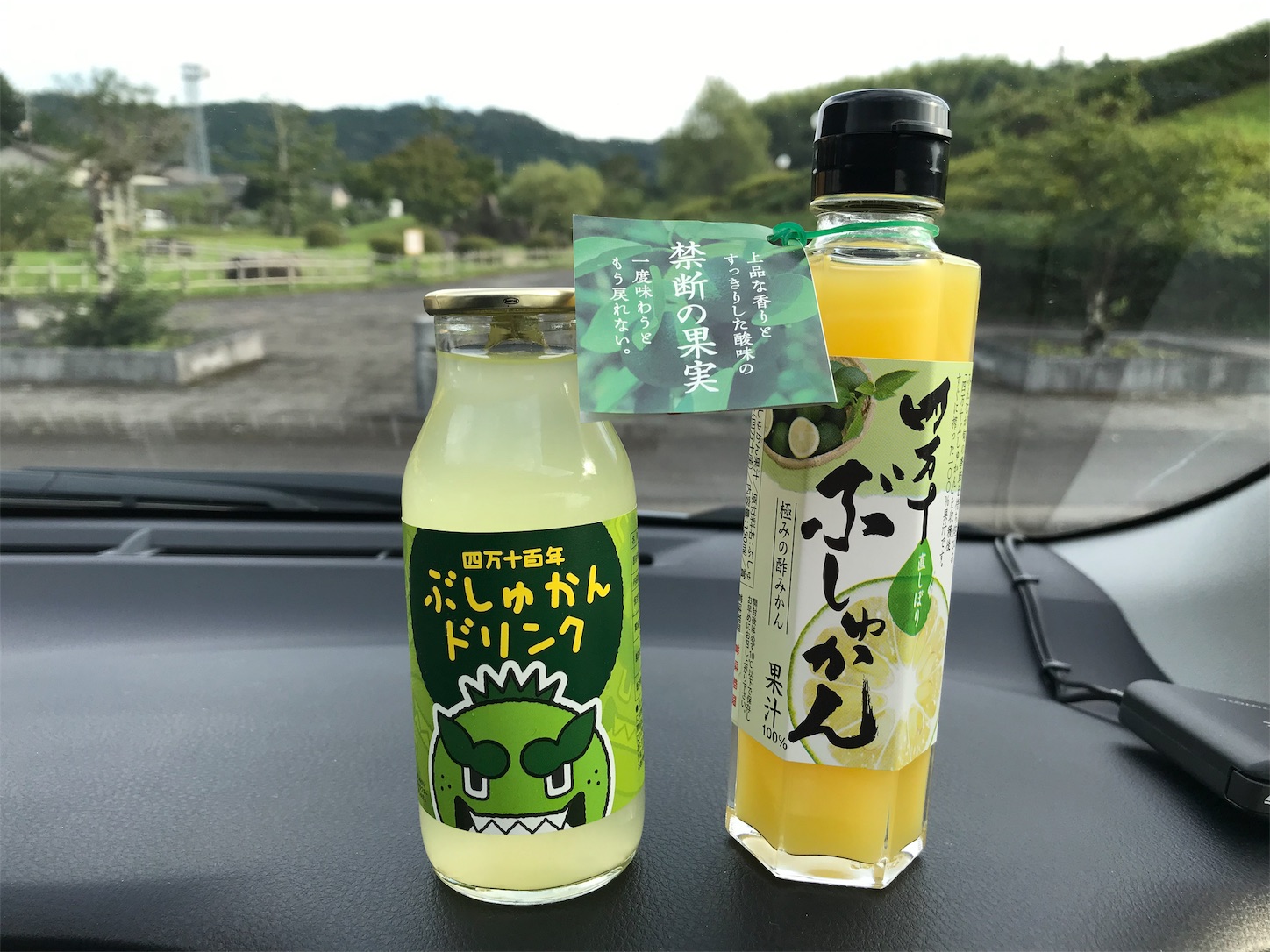 f:id:hatanikiteminkae:20190724165829j:image