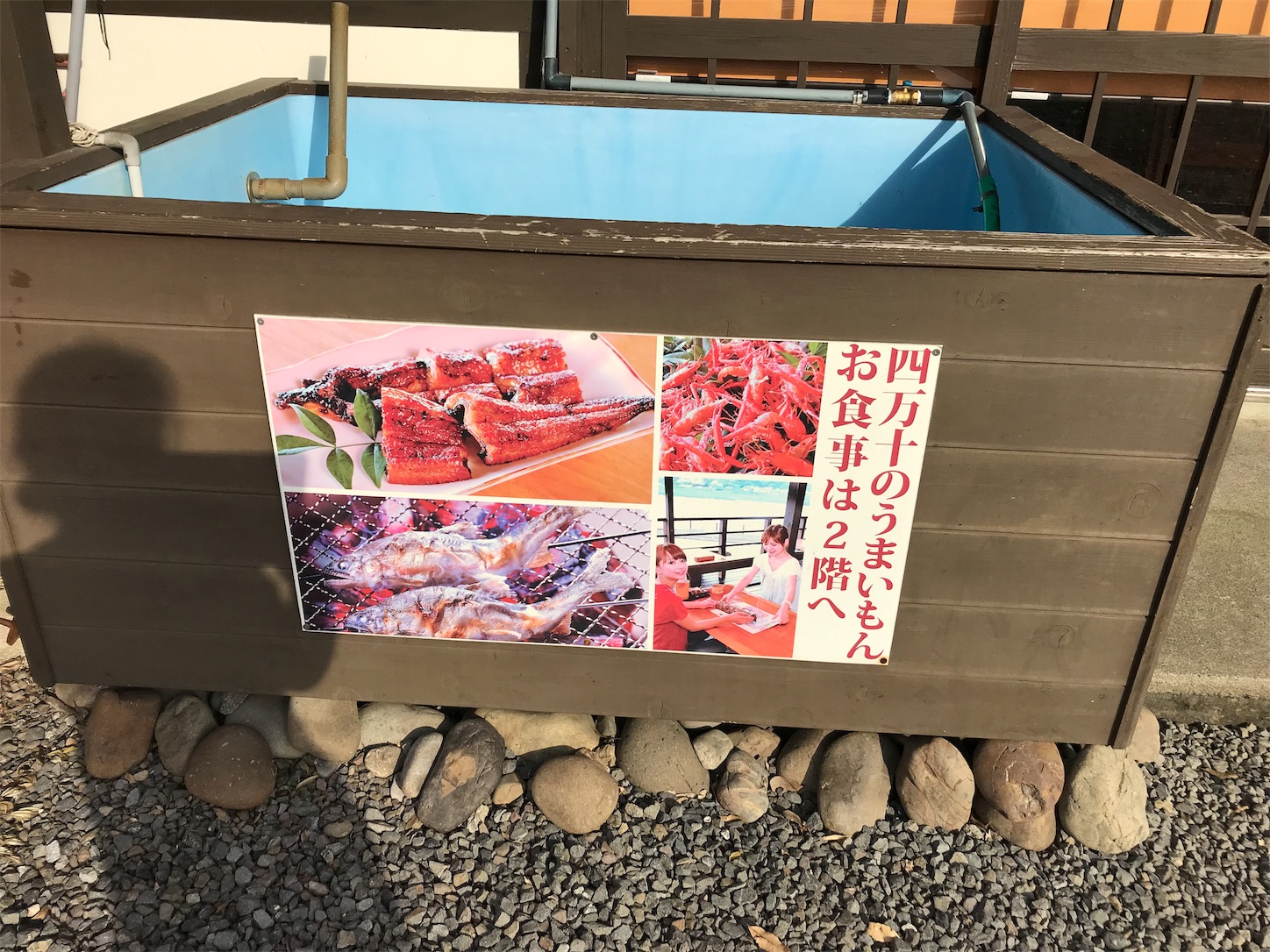 f:id:hatanikiteminkae:20190724172729j:image